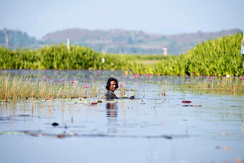 Thailand, Fisherman with net in the water // Fisherman, net, water, Pêche, Thaïland