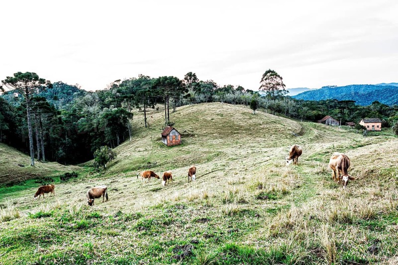 Rural landscape in Rancho Queimado. Rancho Queimado, Santa Catarina, Brazil