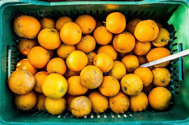 Street market for organic products at Lagoa da Conceicao neighborhood. It takes place at Bento Silverio Square, every saturday from 7:00 AM to noon. Florianopolis, Santa Catarina, Brazil