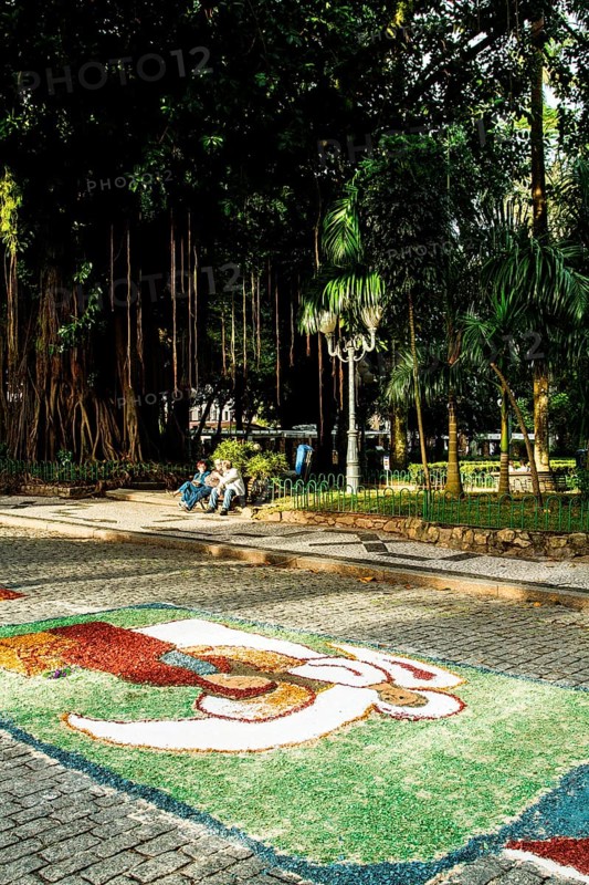 Decorated streets for the Corpus Christi Procession. Florianopolis, Santa Catarina, Brazil