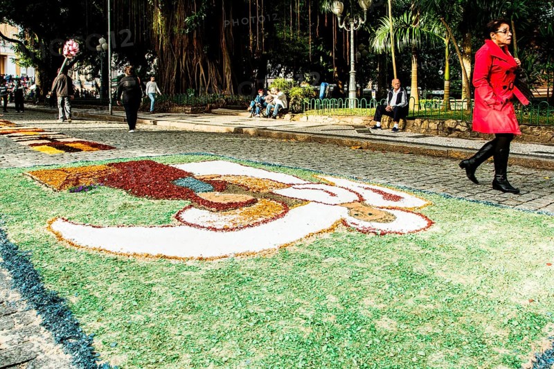 Decorated streets for the Corpus Christi Procession. Florianopolis, Santa Catarina, Brazil