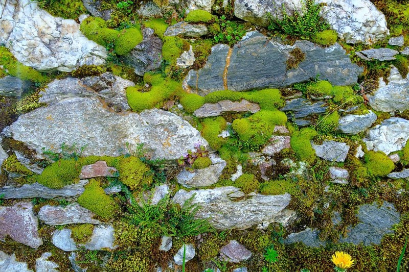 Moss-covered wall, cemetery wall, parish church of St. Johannes der Täufer, Weissbriach, Gitschtal, Carinthia, Austria