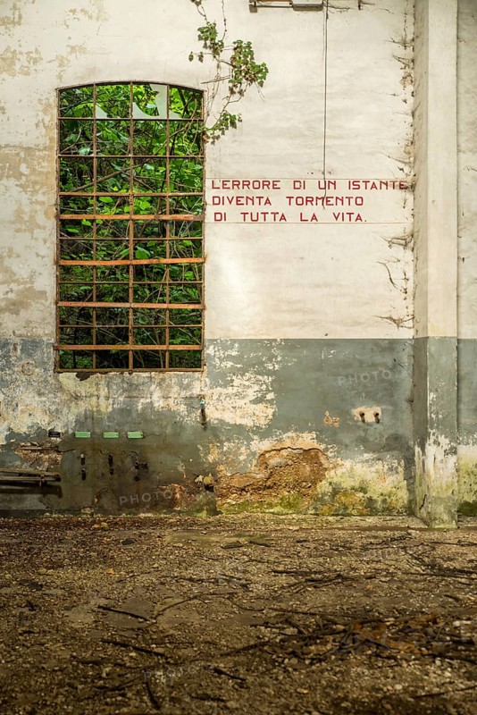 Dilapidated interior wall with window and Italian lettering, surrounded by wild nature and signs of time, lost place, Italy, green, industry, factory, cover, historic, timeless, then, formerly, forgotten, workplace, remote