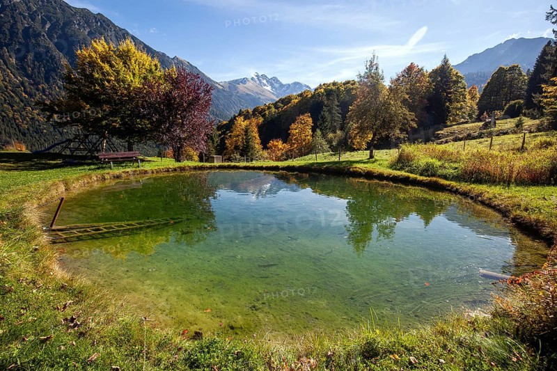 Forellenteich am Gasthof Laiter, Stillachtal, Oberstdorf, Oberallgäu, Allgäu, Bavaria, Germany