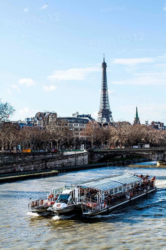Tourist boat on Seine River viewed from Pont Alexandre III (Alexandre III Bridge) and Eiffel Tower in the background. Paris, France. 01.01.13