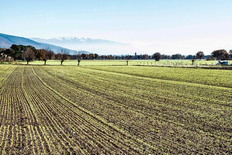 Rural landscape near the city of Assisi. Assisi, Province of Perugia, Italy. 22.12.2012