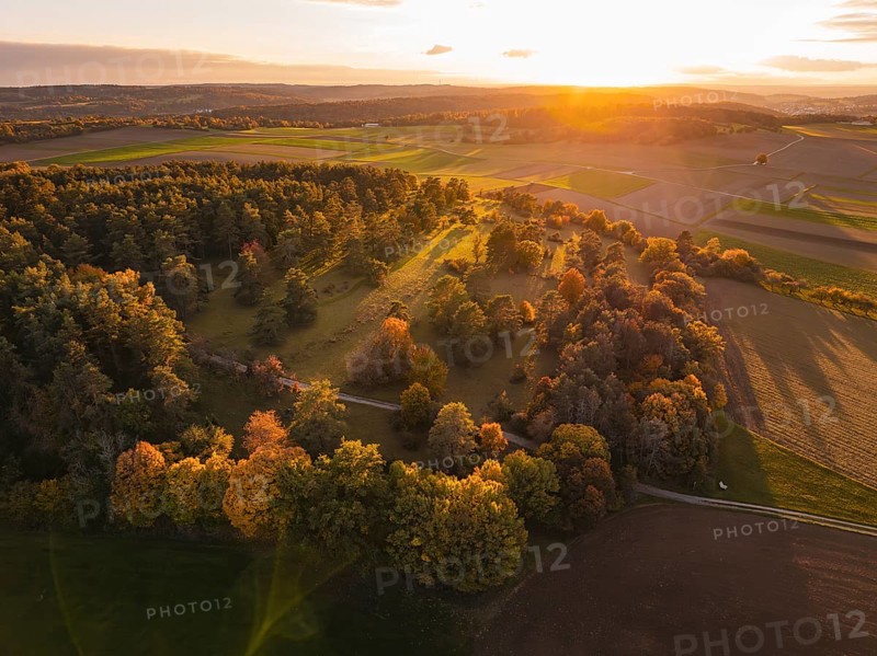 Autumn trees and fields in the golden light of sunset, taken from the air, Venusberg, Aidlingen, Germany