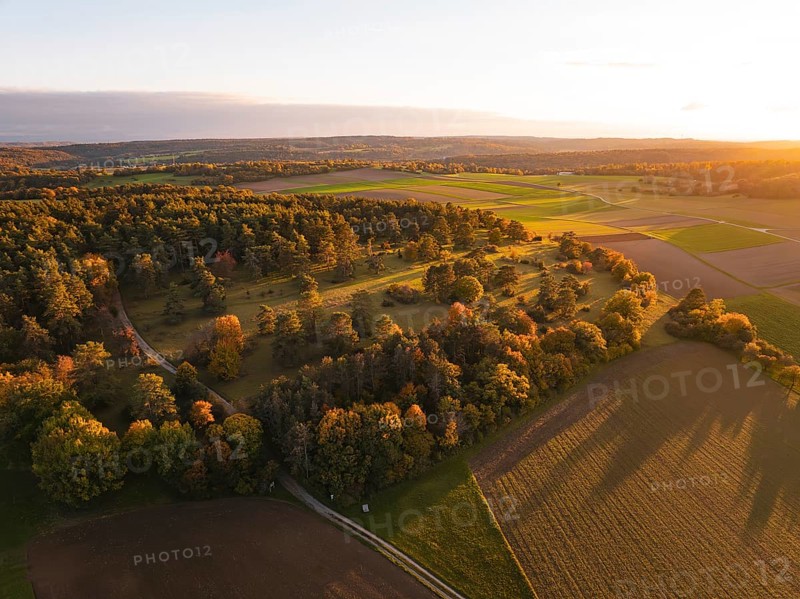 Extensive autumn landscape with trees and fields in warm sunset light, Venusberg, Aidlingen, Germany