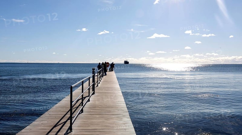 Jetty on the south beach in sunny autumn weather, Fehmarn island, 18.10.2025, Fehmarn, Schleswig-Holstein, Germany