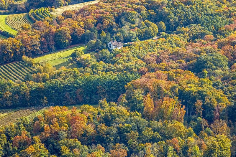 Aerial view, house surrounded by autumn forest, baldeney miniatures and Shetland horse breeders on Dodelle Straße, Bredeney, Essen, Ruhr region, North Rhine-Westphalia, Germany, colorful trees, trees in autumn colors, DE, Essen-South, Europe, autumn, autumn colors, autumn forest colors, aerial photography, aerial photography, mixed forest, horses, equestrian sport, horse breeding, overview, bird perspective, forest in autumn colors, birds-eyes view, colorful autumn leaves, autumn forest, overview