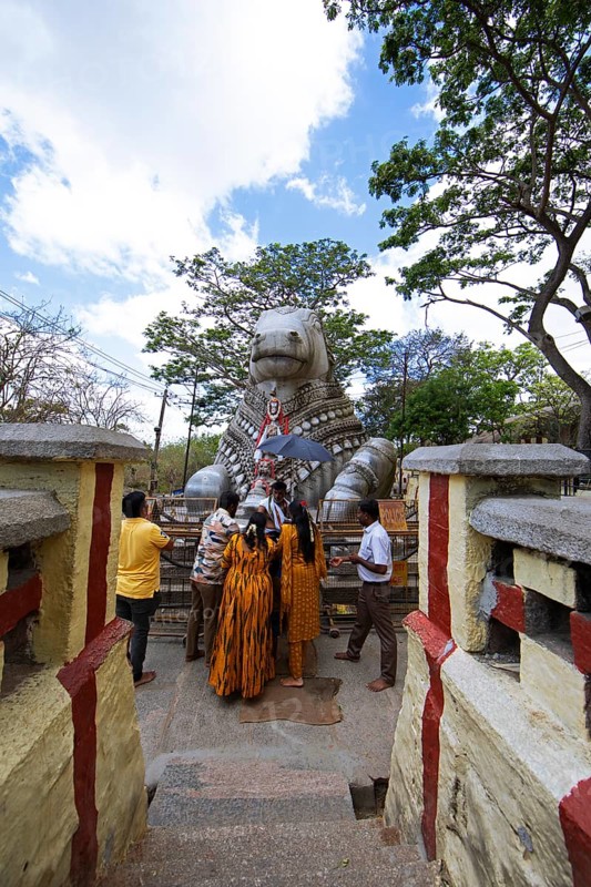 Nandi bull, Indian pilgrims at the monolithic statue of a bull on Chamundi Hill, Mysore or Mysore, Karnataka, India
