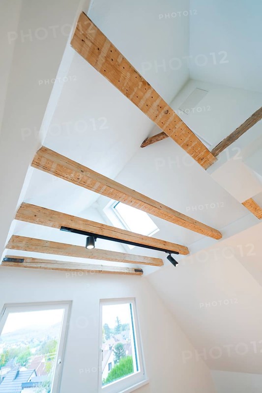View of ceiling beams with skylight and rail spot in a bright attic room, house renovation, climate renovation, Metzingen, Germany