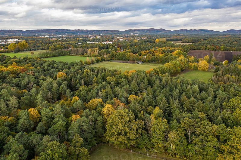 Sennestadt am Teutoburger Wald, Teutoburger-Wald mountain range, North Rhine-Westphalia, Germany