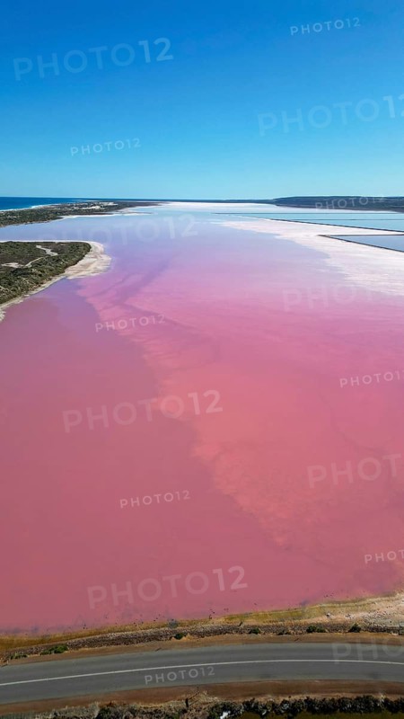 Pink lake next to the xoast, divided by streams and streets, photograped with a drone
