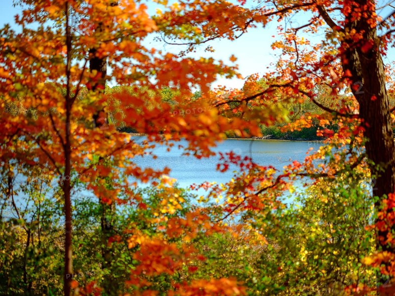 Vibrant autumn scene with colorful leaves framing a peaceful lake view in London, Ontario, Canada
