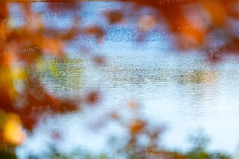 Blurred orange leaves frame a view of a tranquil lake on a sunny autumn day in London, Ontario, Canada