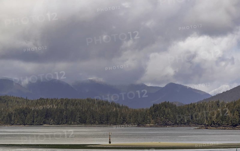 A peaceful lake with surrounding hills creating a tranquil natural scene under an overcast sky in Tofino, British Columbia, Canada