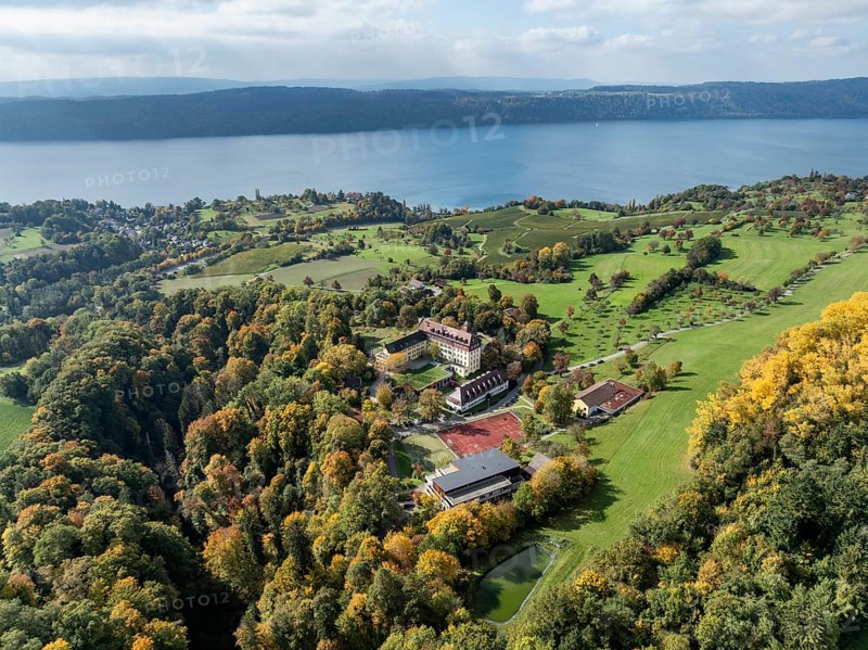 Aerial view, panorama of Lake Constance, Überlinger See, surrounded by autumn vegetation with Spetzgart Castle, Salem International College, Bodanrück on the horizon, Lake Constance District, Baden-Württemberg, Germany