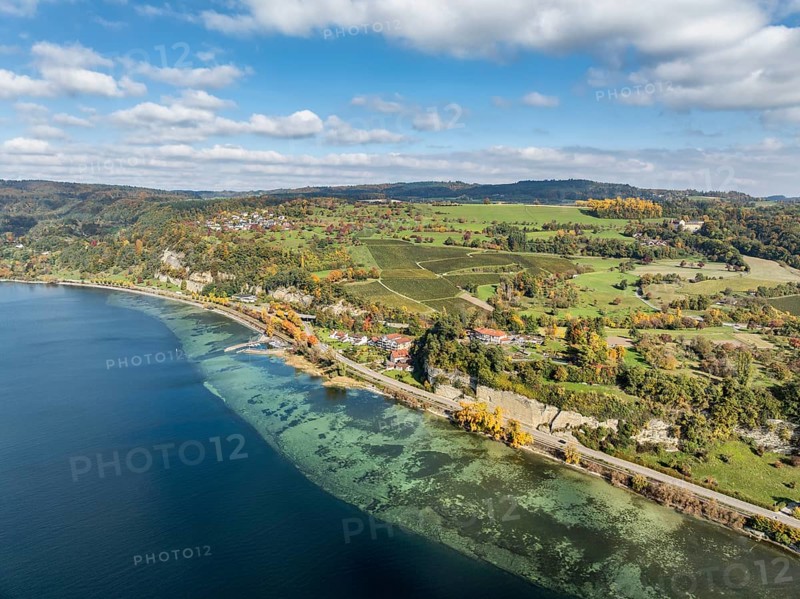 Aerial view of Lake Constance with the village of Hödingen, above Überlingen, surrounded by autumn vegetation, Lake Constance district, Baden-Württemberg, Germany