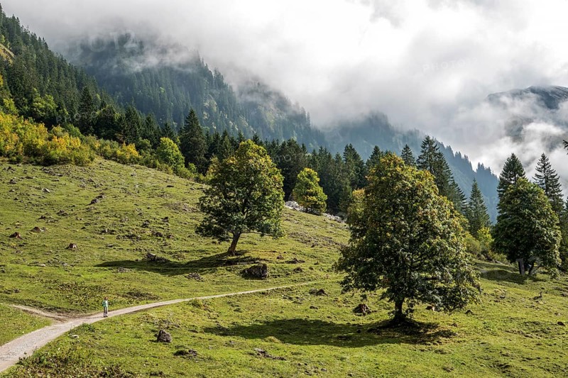 Hiking trail in the Dietersbachtal from Gerstruben to Alpe Dietersbach, Nebelschwanden hang in the valley, Oberstdorf, Allgäu Alps, Oberallgäu, Bavaria, Germany