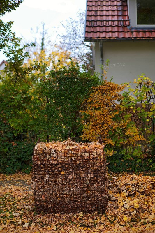 Public collection container, leaf basket, steel mesh compost basket, for collecting autumn leaves, leaves, overfilled, full, leaves, autumn, autumn, residential area, Stuttgart, Baden-Württemberg, Germany