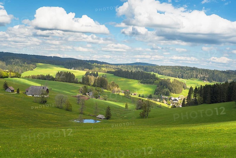 Hills and farms in Jostal, Titisee-Neustadt, Black Forest, Baden-Württemberg, Germany