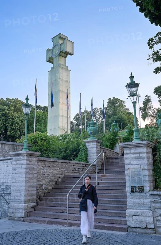 Independence War Freedom Monument, Freedom Square, Tallinn, Estonia