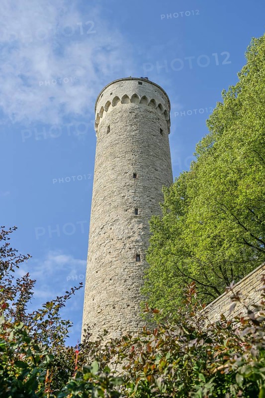 City wall, tower, Langer Hermann Pikk Hermann, Old Town, Tallinn, Estonia