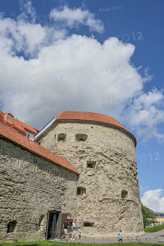 City wall, tower, Dicke Margarethe Paks Margareeta, Old Town, Tallinn, Estonia