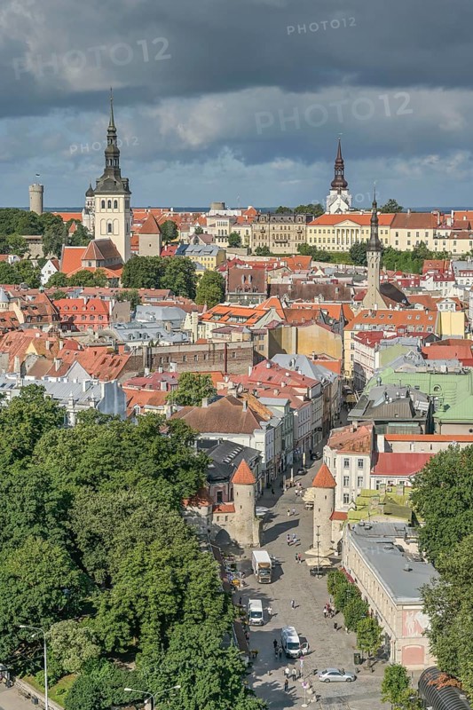 City panorama, view of the old town, in front of Viru Väravad city gate, Tallinn, Estonia