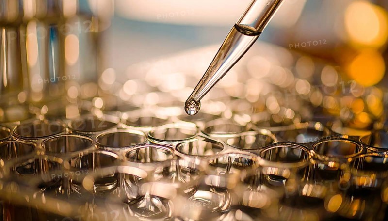 A warm-lit droplet hangs from a glass pipette above gleaming wells, evoking meticulous care in a calm laboratory atmosphere, Pipette dispensing a liquid onto a multi-well plate in a clean laboratory, close up of medical equipment with blurred laboratory background, science, technology and health concept, AI generated
