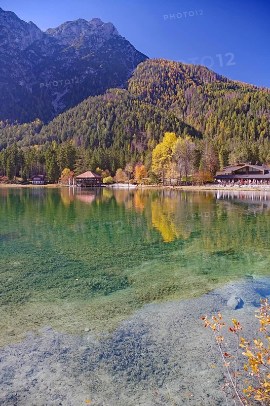 Emerald green, clear shore water with visible stones, colorful autumn trees and a boathouse are reflected in front of steep mountains, Lake Toblach, Lake Dobbiaco, South Tyrol, Italy