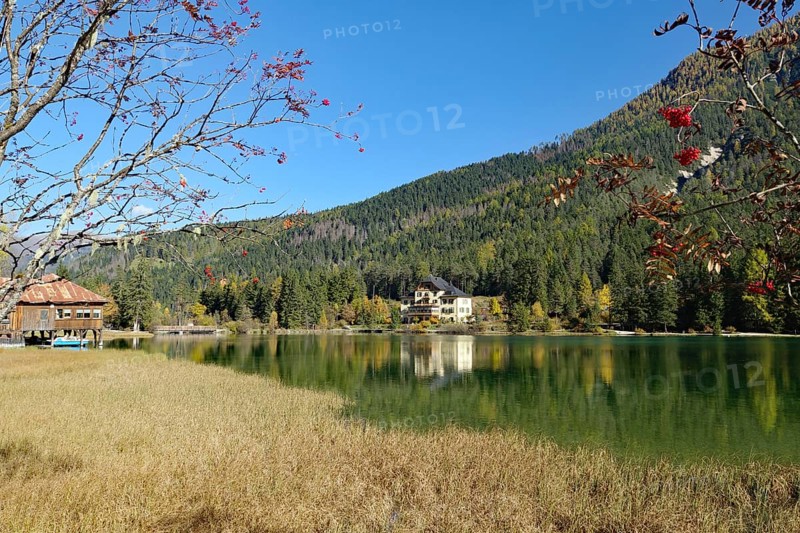 Autumnal alpine lake with clear water, a lakeside hut and red berry branches frame the view of the quiet forests and slopes, Lake Toblach, Lake Dobbiaco, South Tyrol, Italy