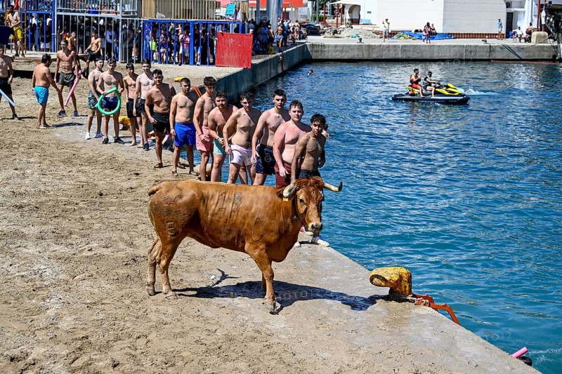 Bous a la Mar Fair, in English Bulls in the Sea, Bullfighting, Javea or Xàbia, Alicante Province, Comunidad Valenciana, Spain