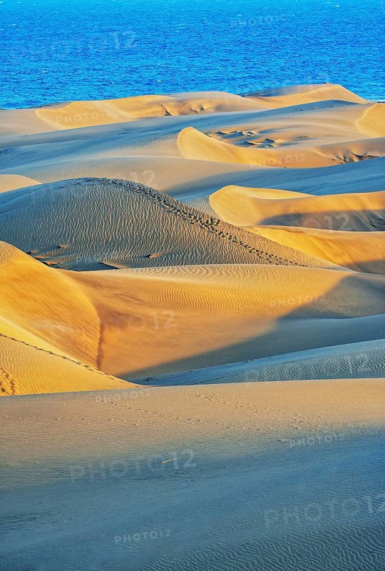 Sand dunes, Maspalomas, Playa del Ingles, Gran Canaria, Canary Islands, Spain