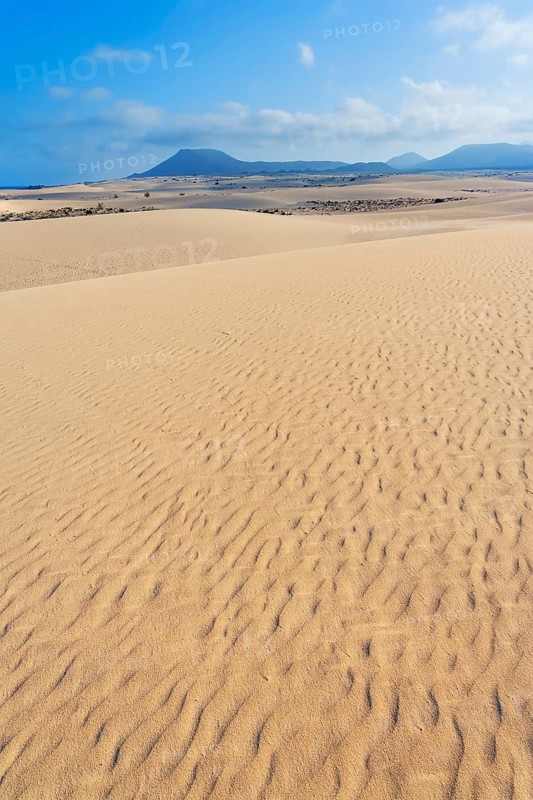 Corralejo Natural Park, Fuerteventura, Canary Islands, Spain
