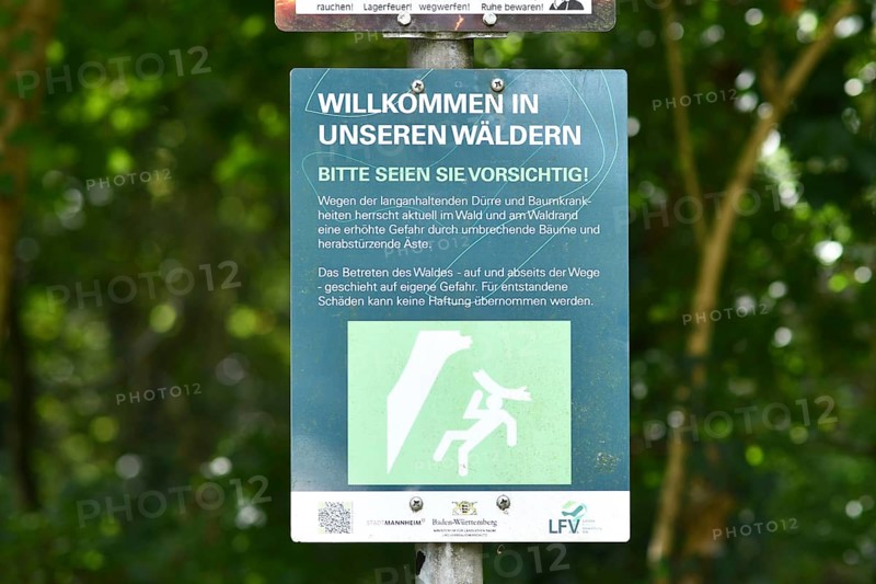 Mannheim, Germany - August 31st 2025: Warning sign at entrance of Dossenwald forest about danger of falling trees due to drought damage and tree diseases from climate change