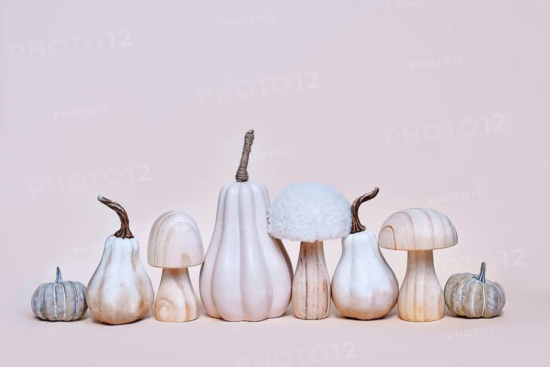 Decorative pumpkin, mushroom and acorn ornaments on beige background. Boho autumn composition