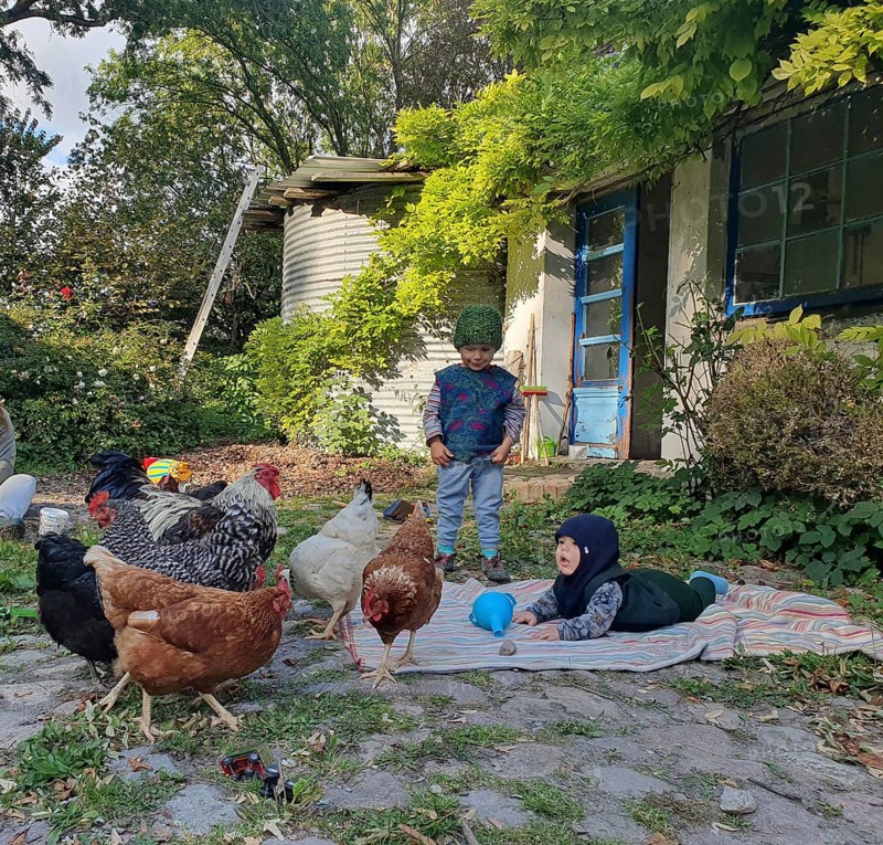 Two small children in the garden on a blanket with chickens, Othenstorf, Mecklenburg-Western Pomerania, Germany