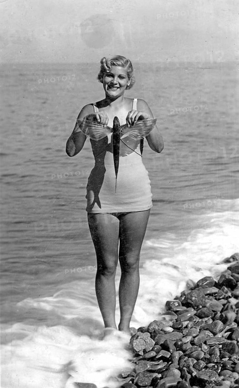 Woman on the beach in a bathing suit with flying fish, presumably swallowfish (Exocoetus volitans), 1940s USA