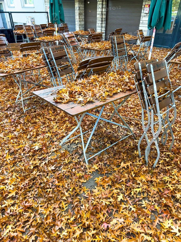 Autumn in town, beer garden, pub terrace under deciduous trees, swamp oak, floor and table chairs are covered with fallen leaves, Essen, North Rhine-Westphalia