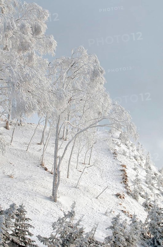 Landscape in winter, Hokkaido, Japan Landscape, Hokkaido, North, East, Winter, (Paysage) Japan, 2017