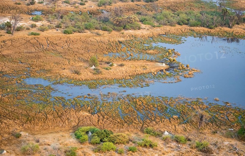 Marsh landscape on a lake with many termite hills, aerial view, Okavango Delta, Botswana