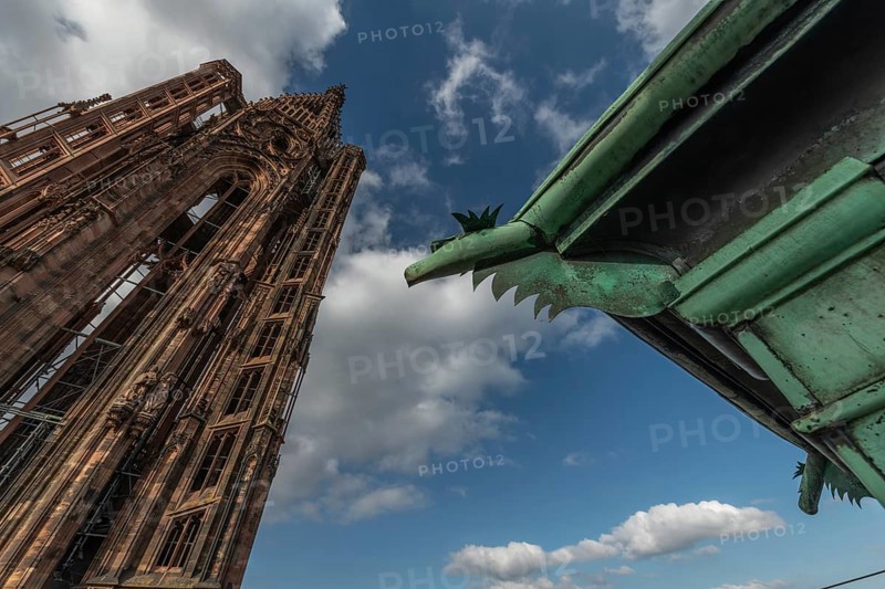 Strasbourg's Gothic cathedral stands majestically under a cloudy sky. In the background is an ornate and detailed iron gargoyle, which gives the scene a unique charm. Bas Rhin, Alsace, France