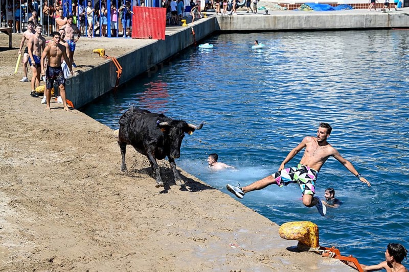 Bous a la Mar Fair, in English Bulls in the Sea, Bullfighting, Javea or Xàbia, Alicante Province, Comunidad Valenciana, Spain
