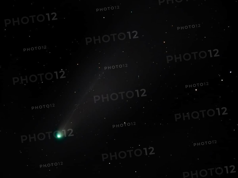 Comet Lemmon (C/2025 A6) in the night sky