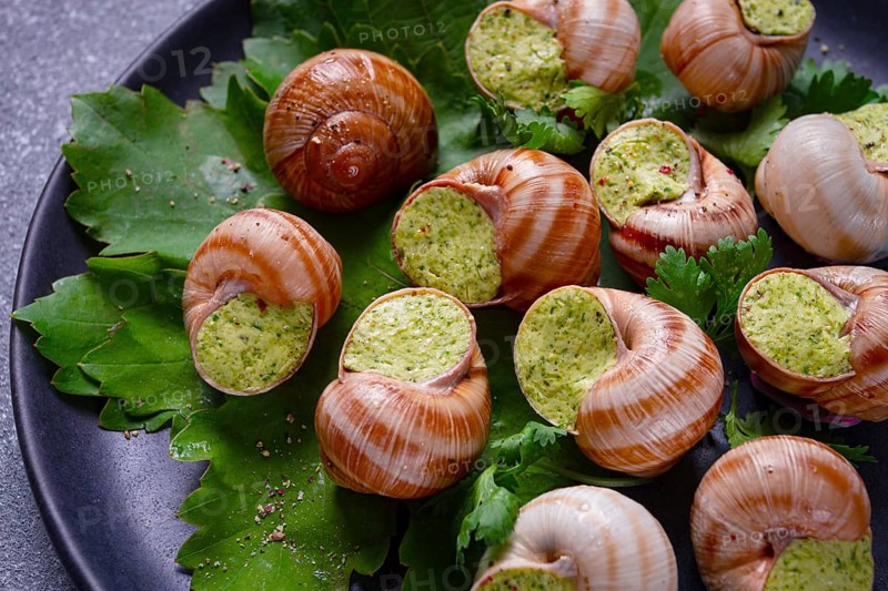 Grape snails, stuffed in burgundy, french cuisine