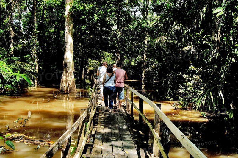 Parque Ecológico do Lago Janauari, Manaus, Amazonas, Brazil