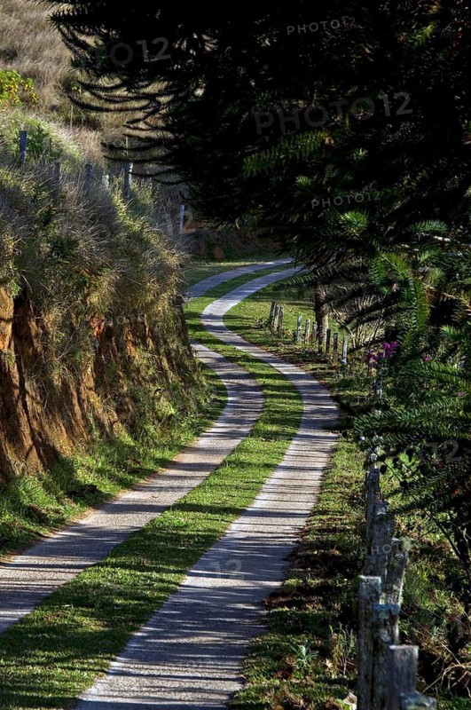 Street, Santo Antônio do Pinhal, São Paulo, Brazil