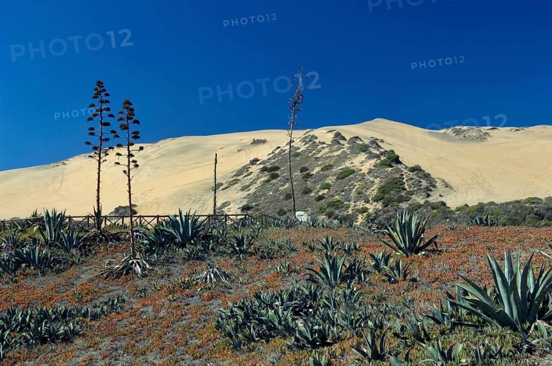 Observatory of Sea Wolves, Dunes, Viña Del Mar, Chile